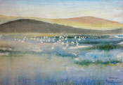 Gail van Lingen